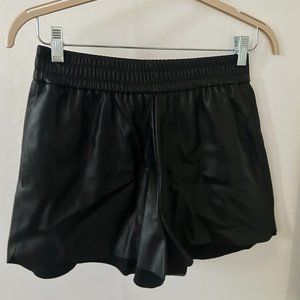 Zara Faux Leather Shorts (Medium)